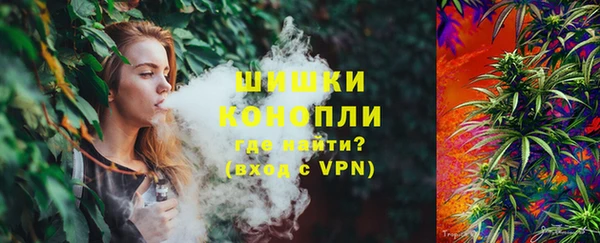 дживик Абинск