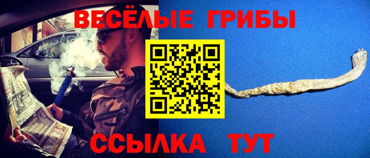 Псилоцибиновые грибы Magic Shrooms  Галлюциногенные грибы GOLDEN TEACHER  Вход с VPN  Алатырь 